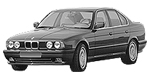 BMW E34 P1462 Fault Code